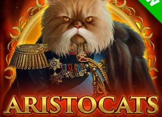 Aristocats Enomo casino